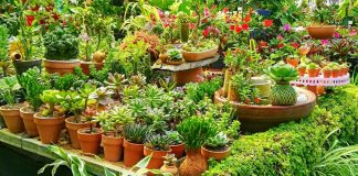 Tips-to-Keep-Your-Garden-Organized-and-Fresh-on-americastrend