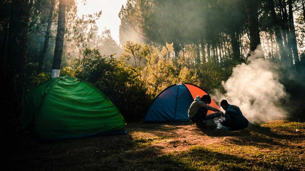 Tips-to-Stay-Safe-from-Bear-Attack-during-Camping-on-americastrend