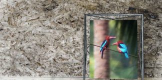 5-Things-to-Know-Before-Buying-the-Best-Digital-Photo-Frame-on-americastrend