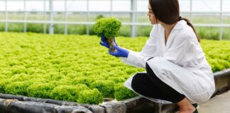 Vegetable-Victory-Growing-Hydroponic-Goodness-For-Fresh-Feasts-on-americastrend