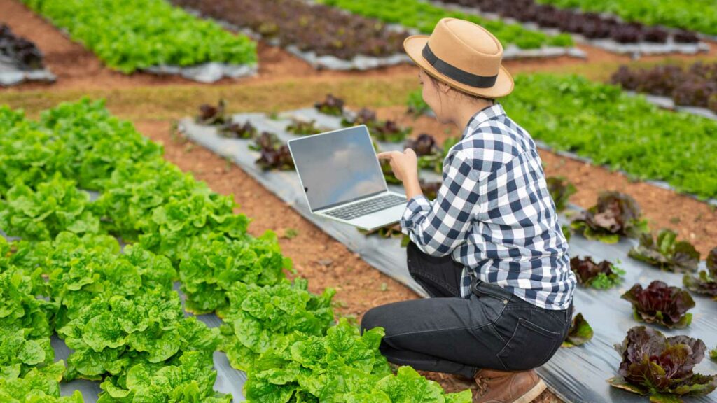 From-Soil-To-Table-The-Art-Of-pH-Balancing-In-Your-Vegetable-Garden-on-americastrend